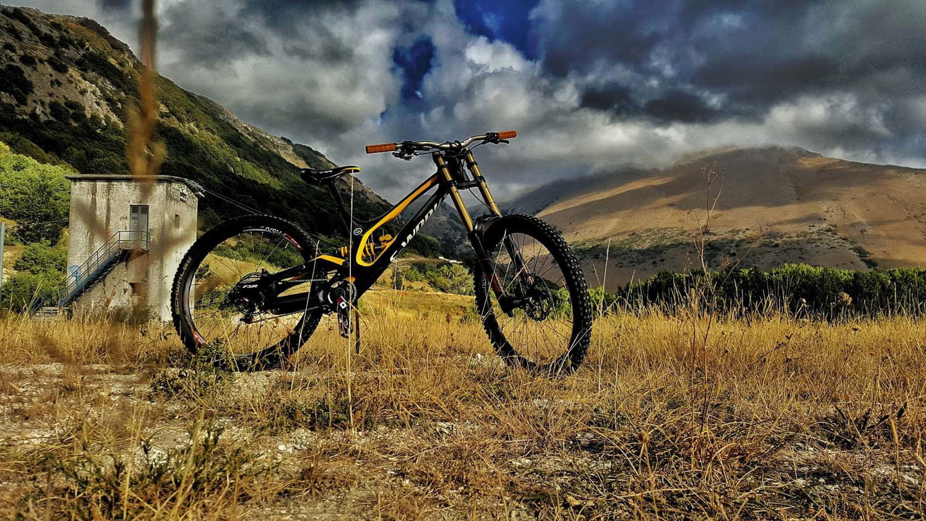 En mountainbike parkeret på græsset Wallpaper