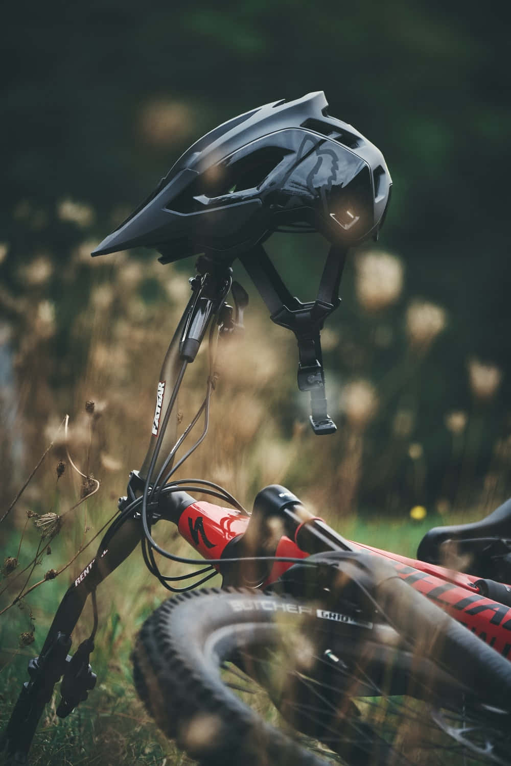 Specialized Mountain Bike On The Ground Wallpaper