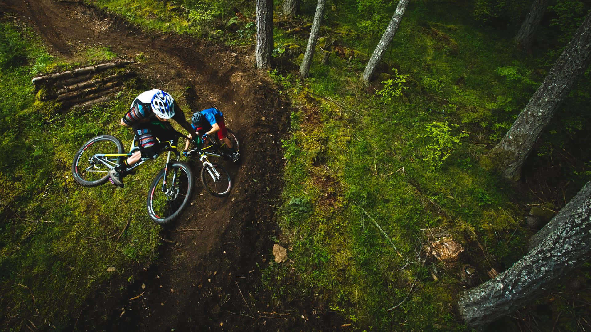 A Man Riding A Mountain Bike In The Woods Wallpaper