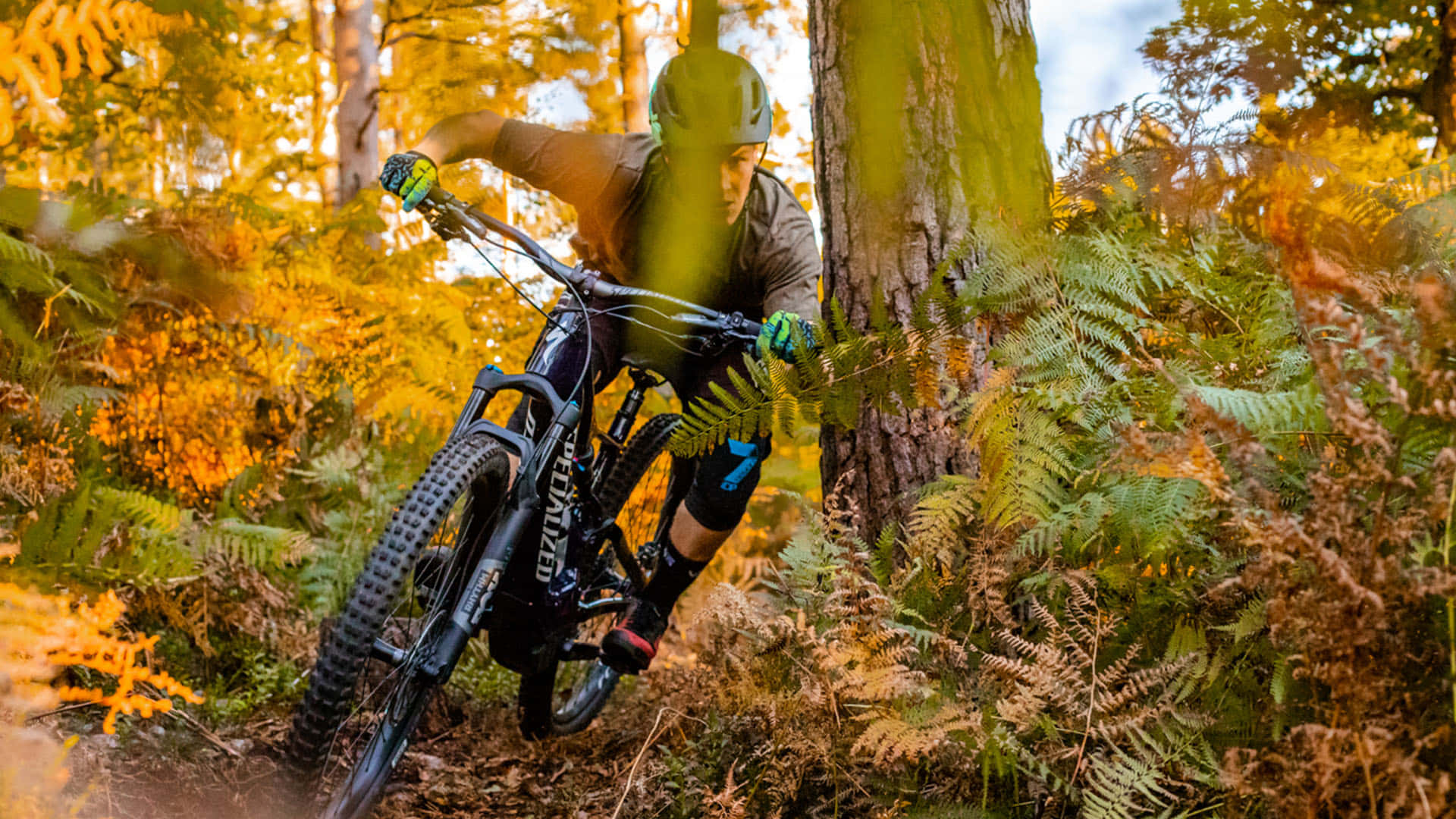 An Exciting Ride with Specialized Mountain Bike Wallpaper