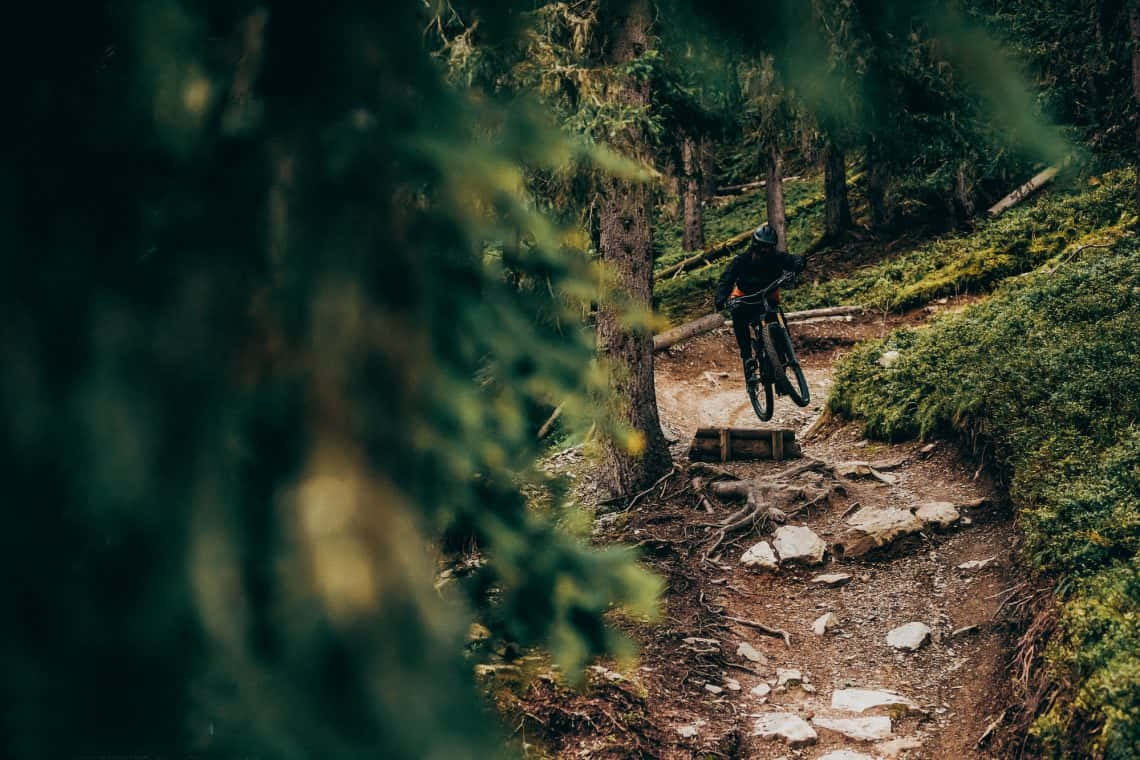 Unapersona Che Guida Una Mountain Bike Su Un Sentiero Sfondo