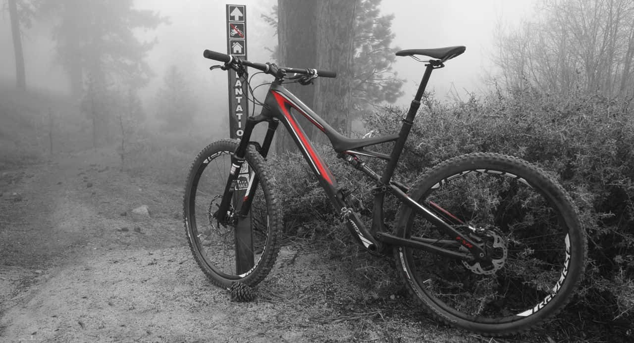 Specialized Mountain Bike In Forest Park Wallpaper