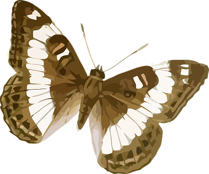 Speckled_ Brown_ Butterfly_ Vector_ Art PNG