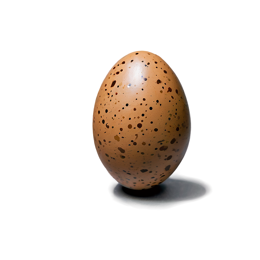 Speckled Brown Egg Png 06202024 PNG