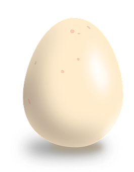 Speckled Egg Illustration PNG