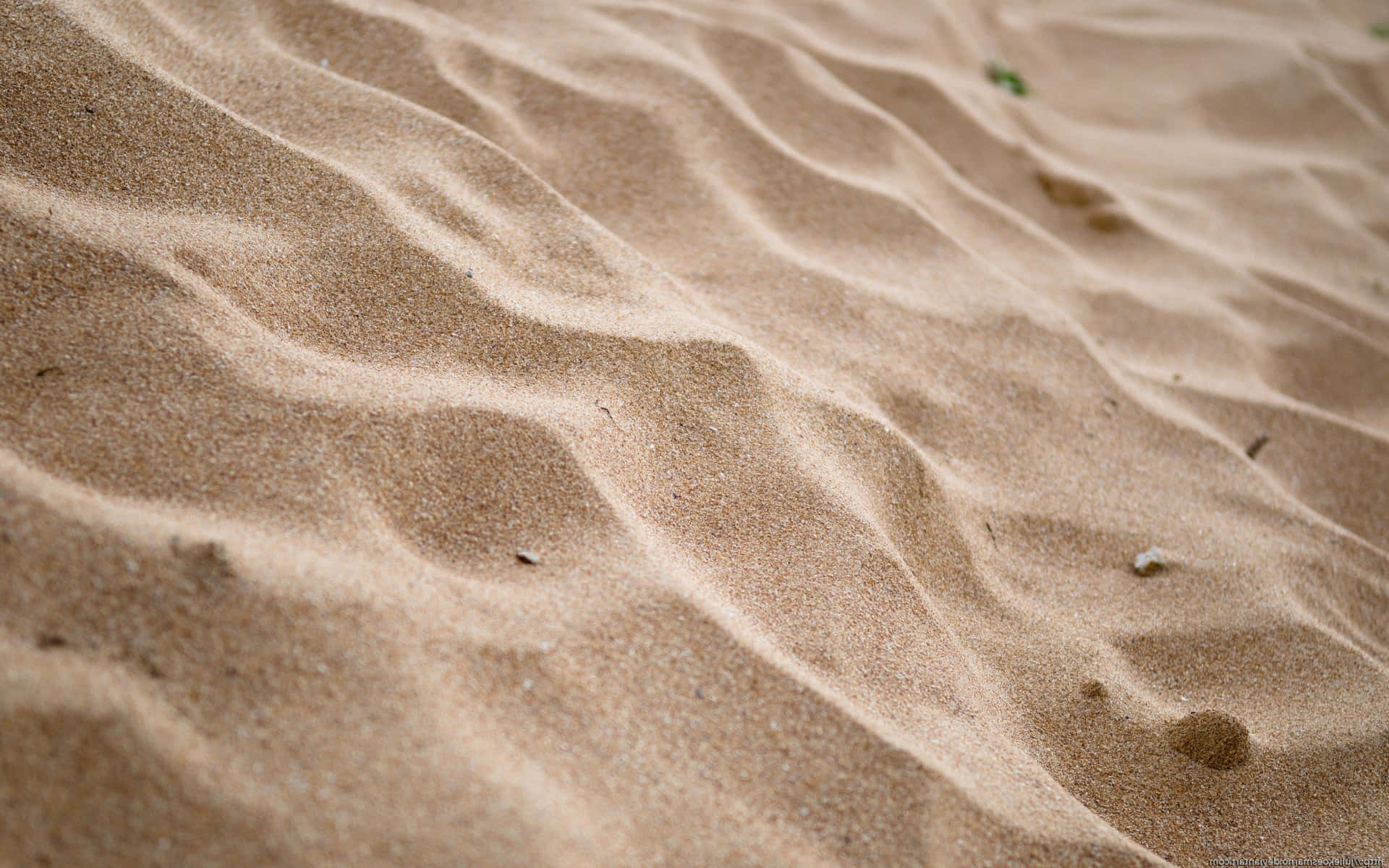 Körnchenim Sand Wallpaper