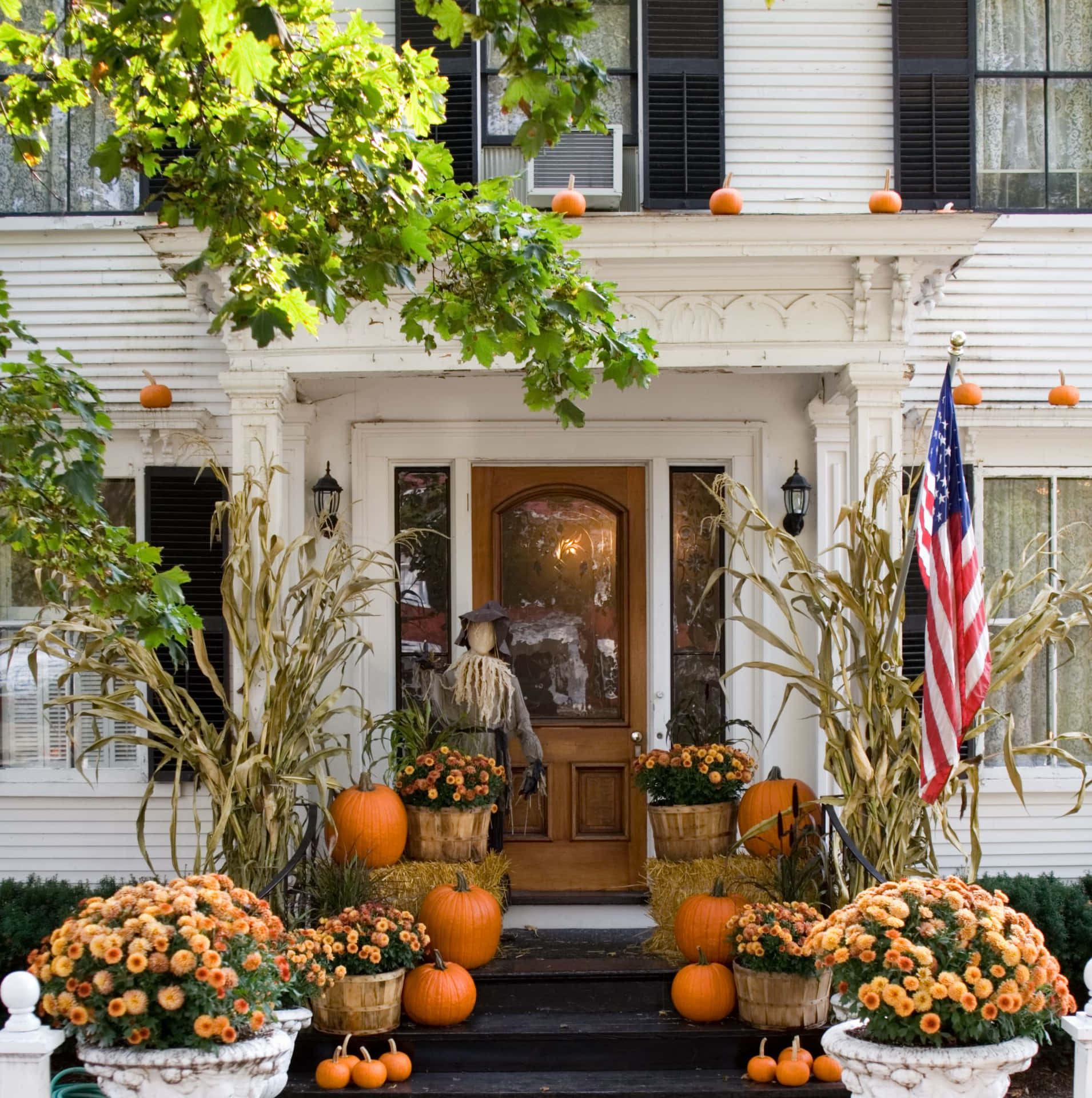 Spectacular Halloween Yard Decorations Wallpaper