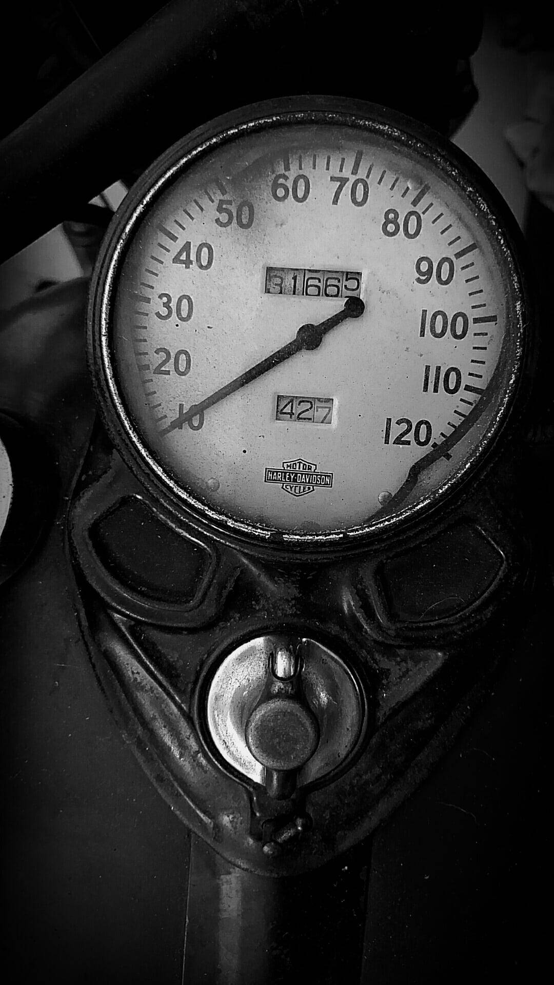 Speedometer Harley Davidson Mobile Wallpaper
