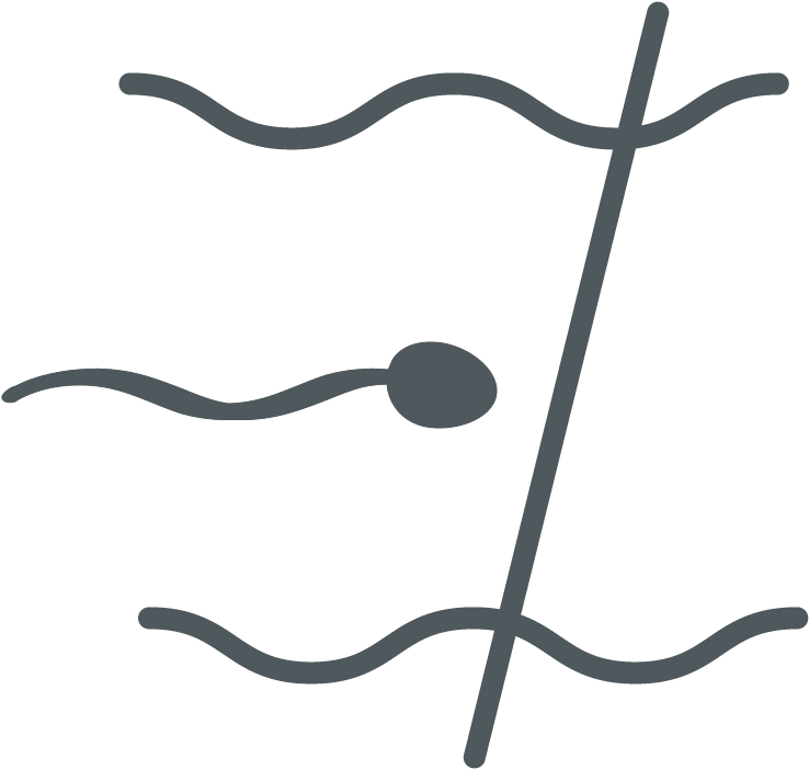 Sperm Cell Icon PNG