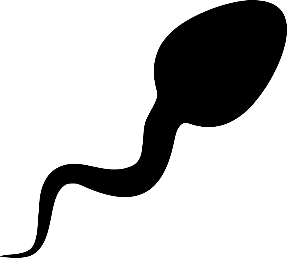 Sperm Cell Silhouette PNG