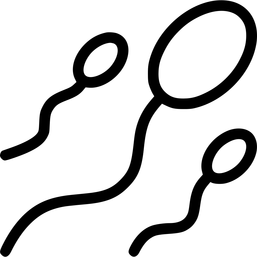 Sperm Cells Silhouette Graphic PNG