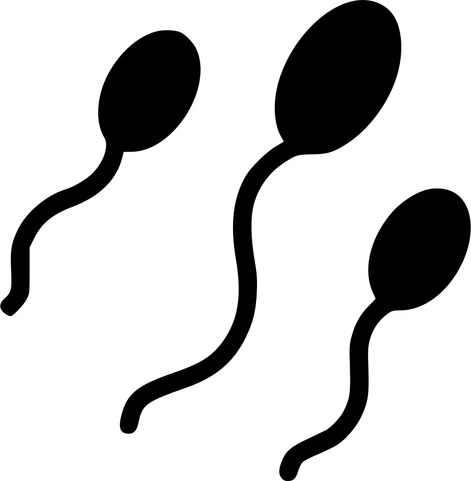 Sperm Cells Silhouette Graphic PNG