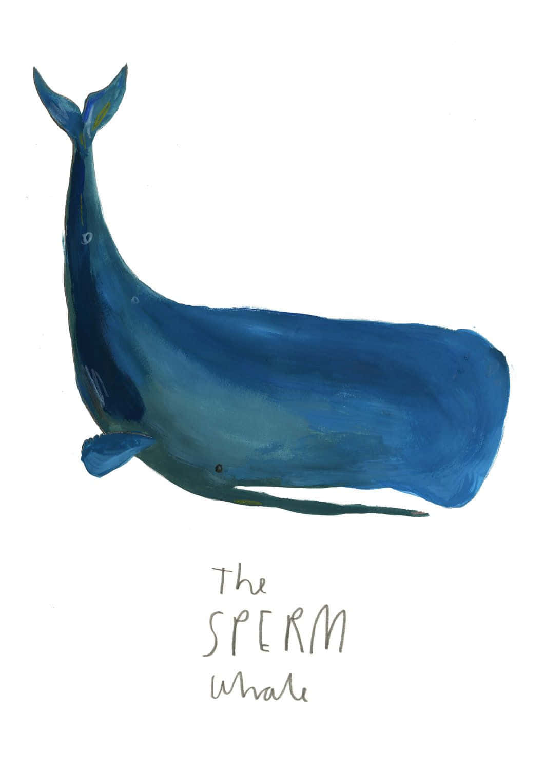 "Sperm Whale Gliding Through the Sea"