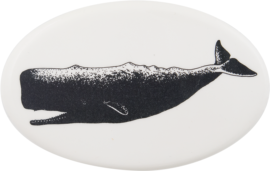 Sperm Whale Silhouette PNG
