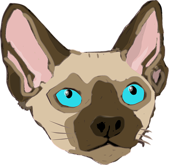Sphynx Cat Illustration PNG