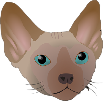 Sphynx Cat Illustration PNG