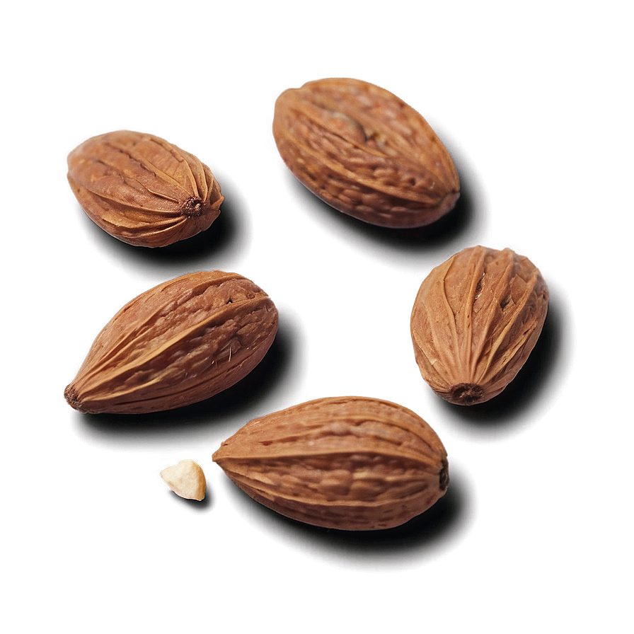Spiced Almond Png 05242024 PNG