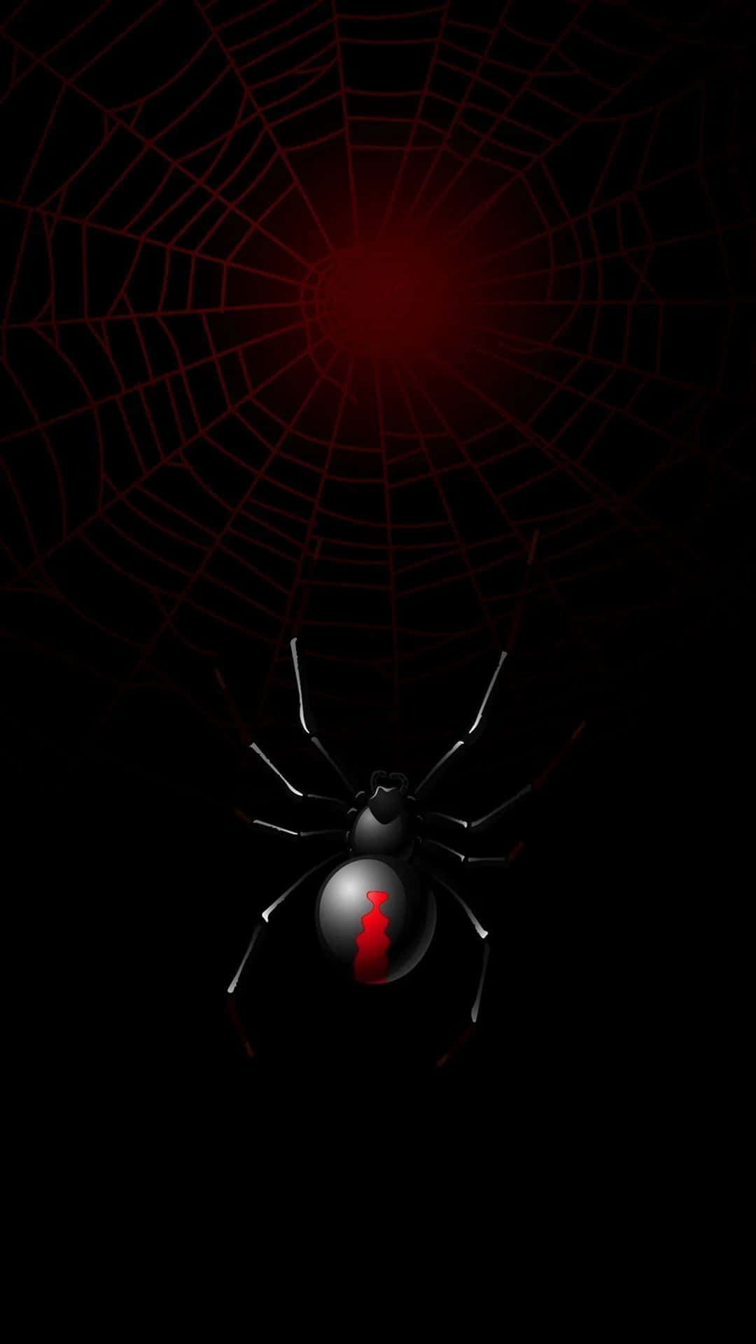 A Black Spider In A Web With Red Light