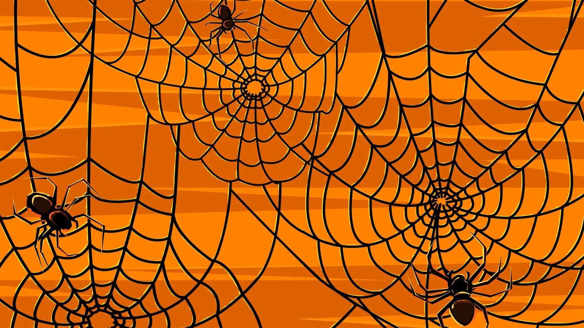 A Black And Orange Spider Web With Spiders