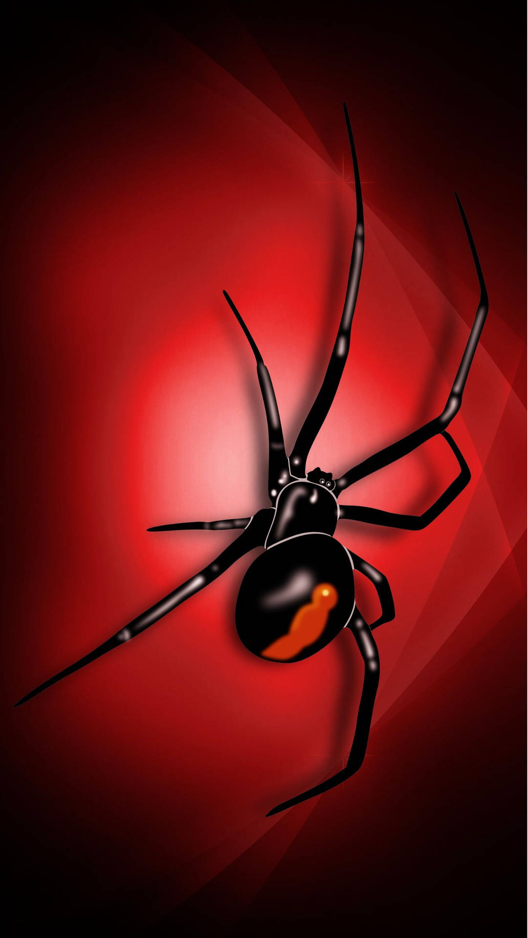 Spider Black Widow Digital Art