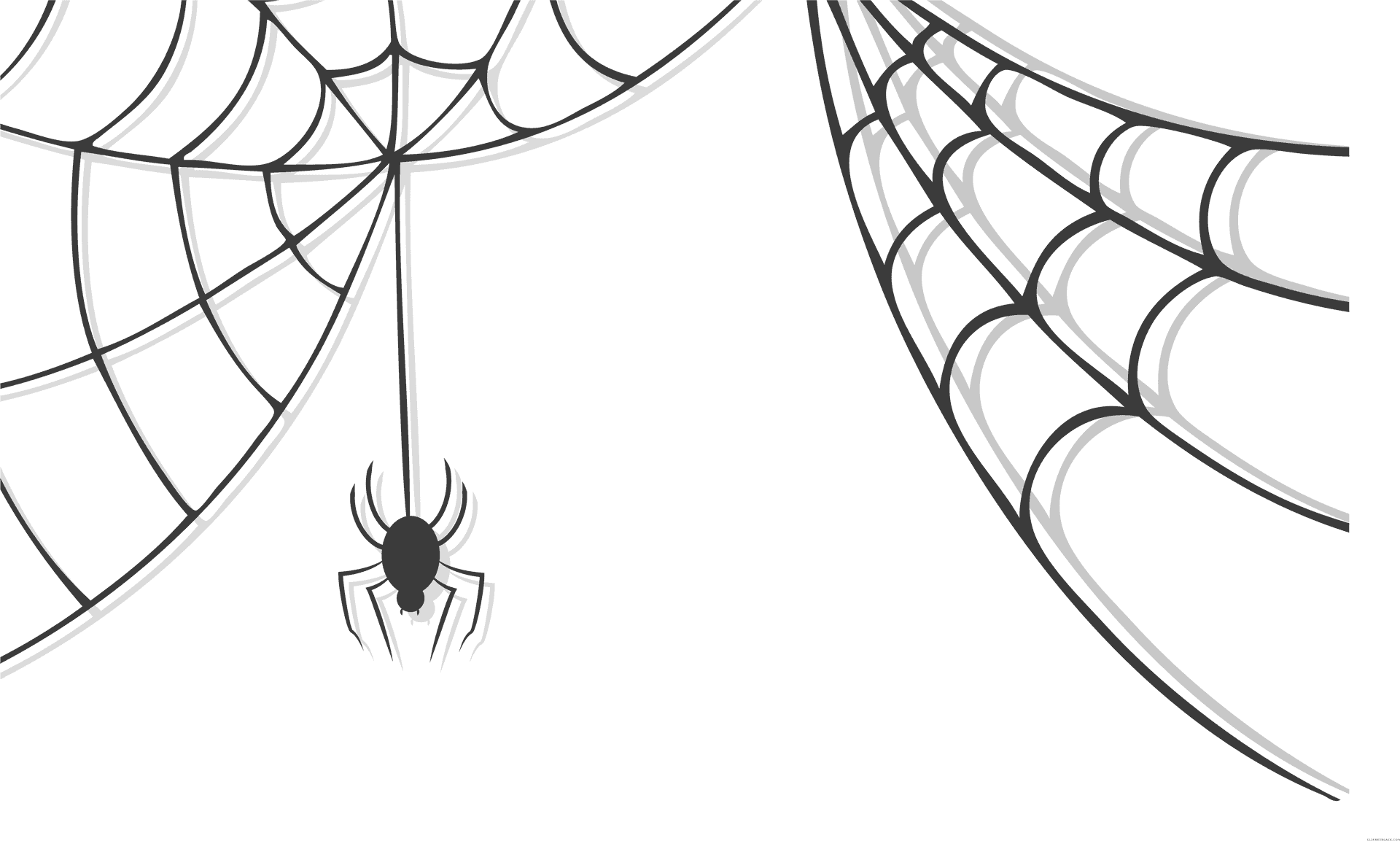 Spider Descending From Web PNG