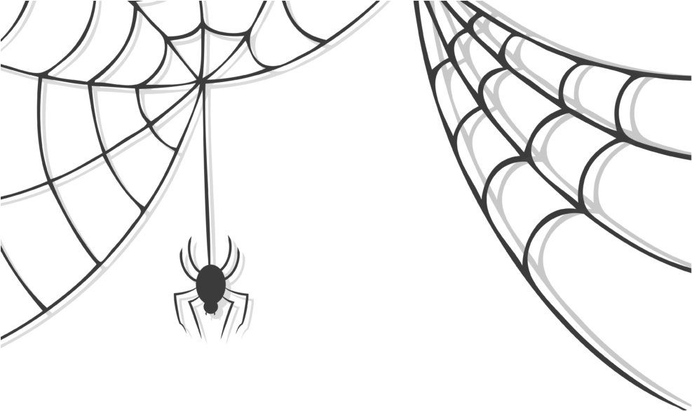 Spider Descending Web PNG