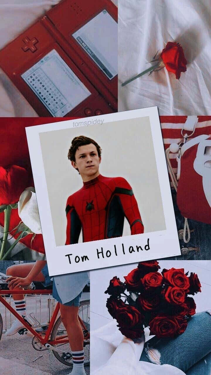 Spider Man Aesthetic In Polaroid Wallpaper