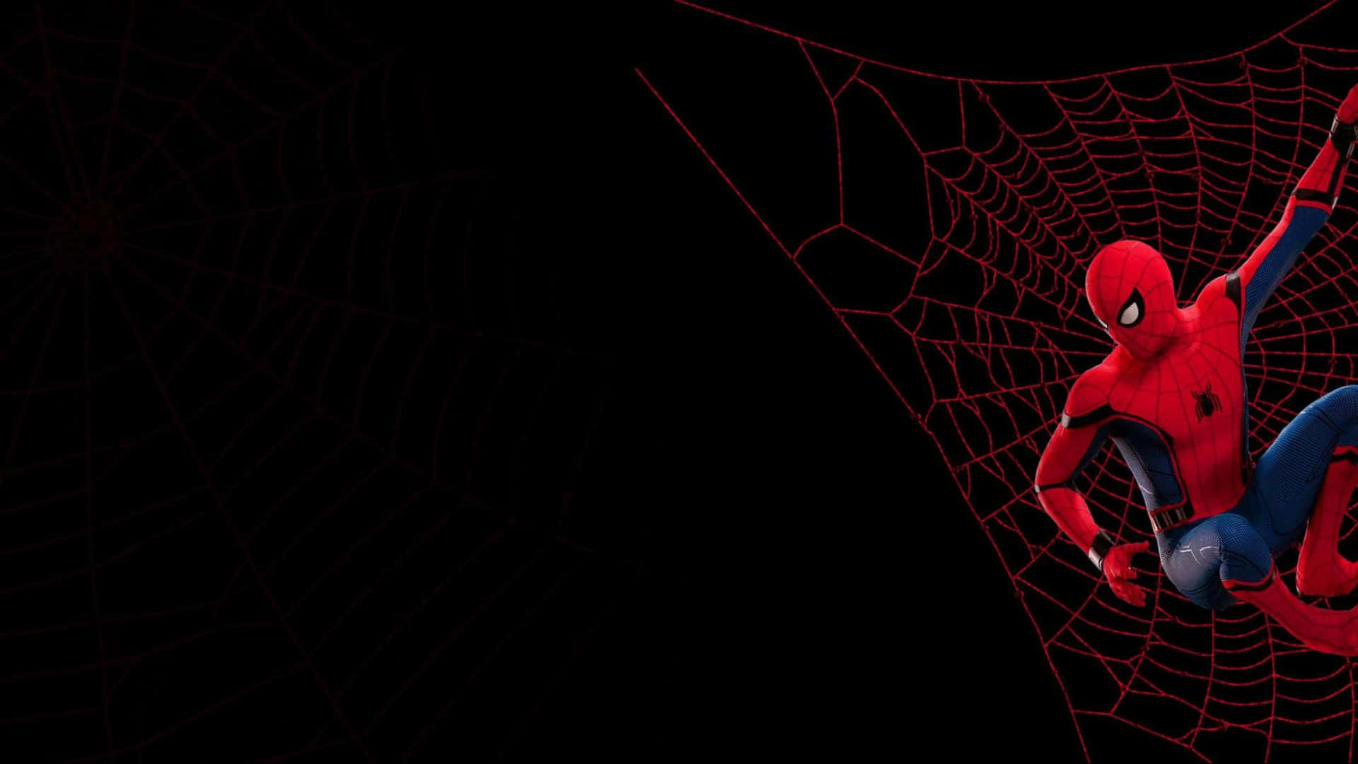 Spiderman: Regreso A Casa. Fondo de pantalla