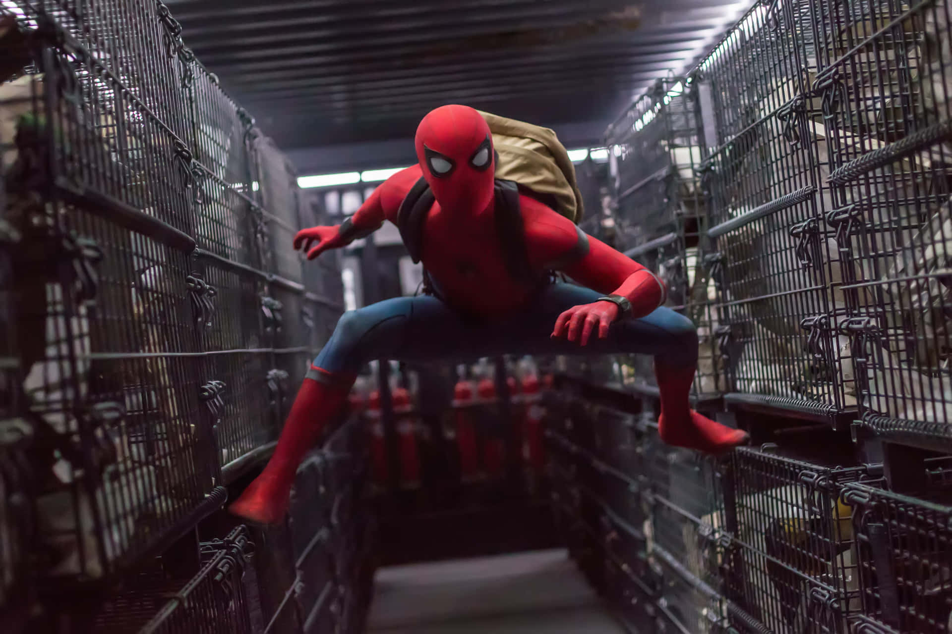 Spider-Man: Homecoming starring Tom Holland" Wallpaper