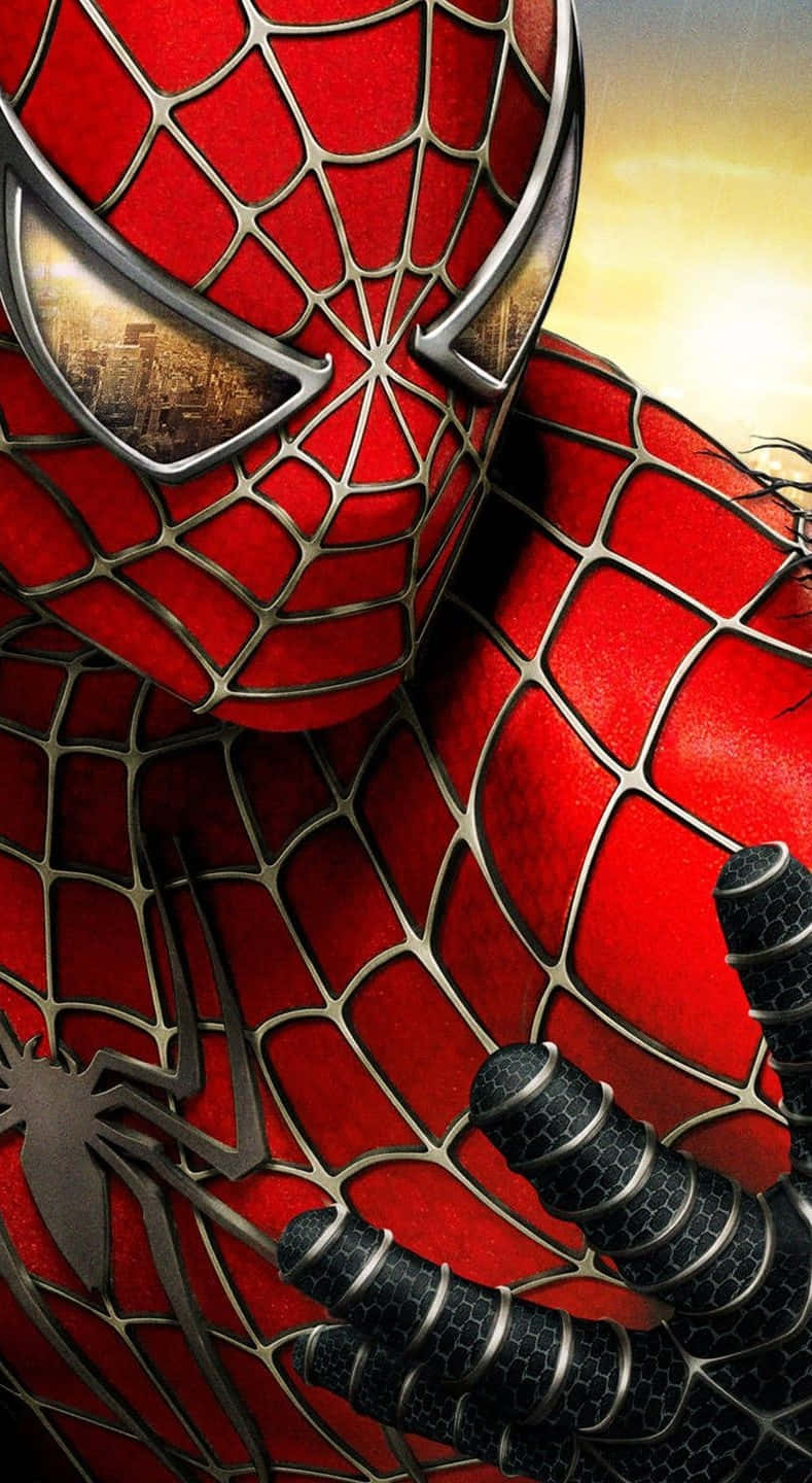 Download Spider Man Phone Wallpaper 