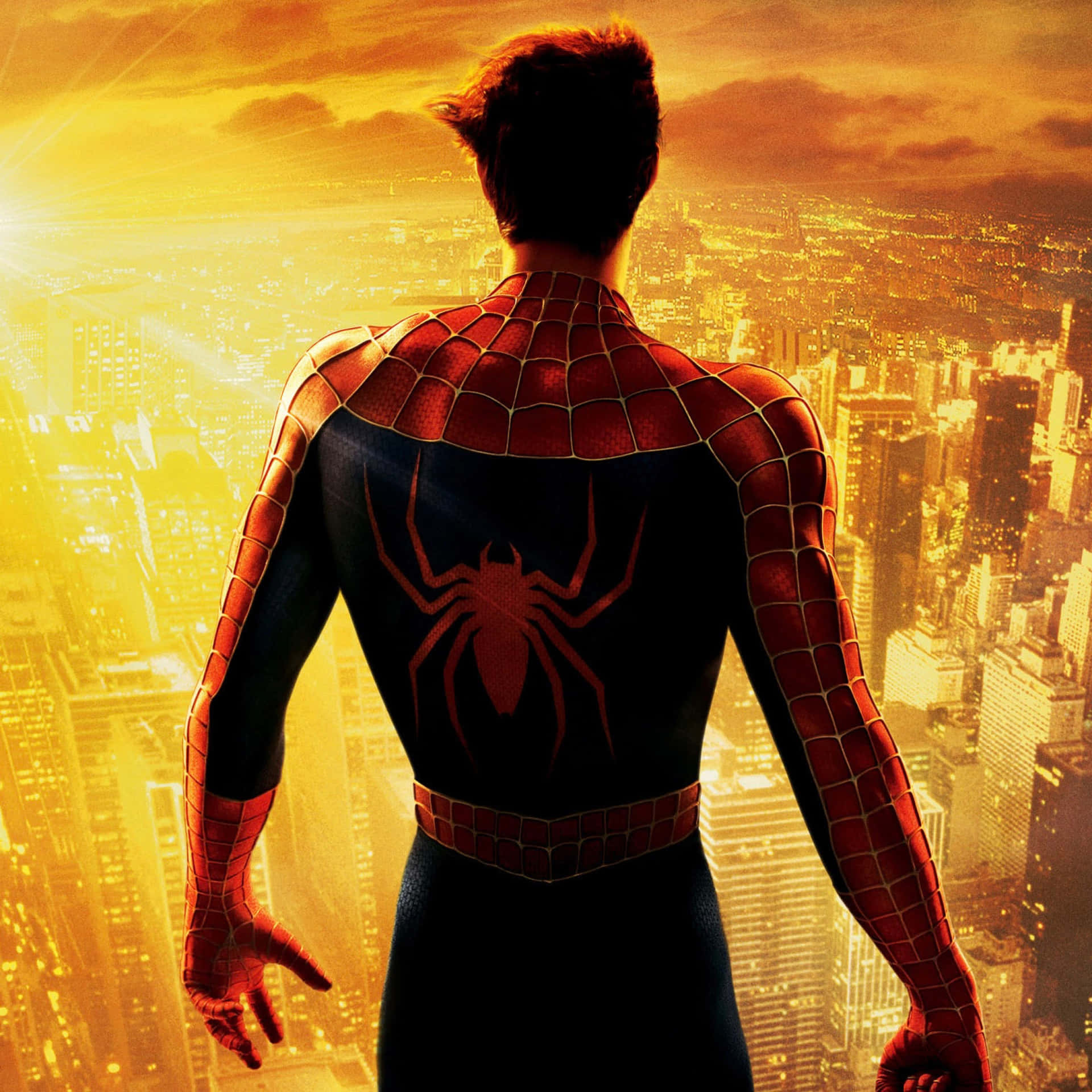 Seguiil Viaggio Di Peter Parker E Vivi L'azione Avvincente Della Intrigante Trilogia Di Spider-man. Sfondo