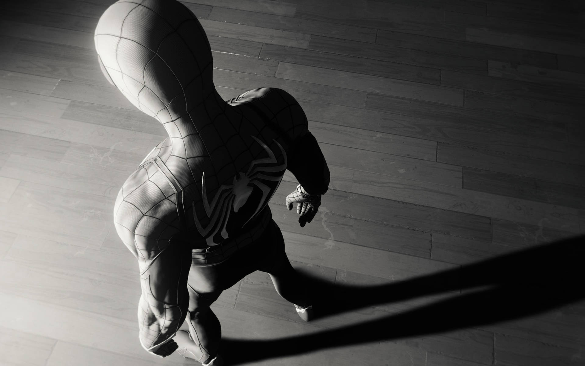 Spiderman Blanco Y Negro Chiaroscuro Fondo de pantalla
