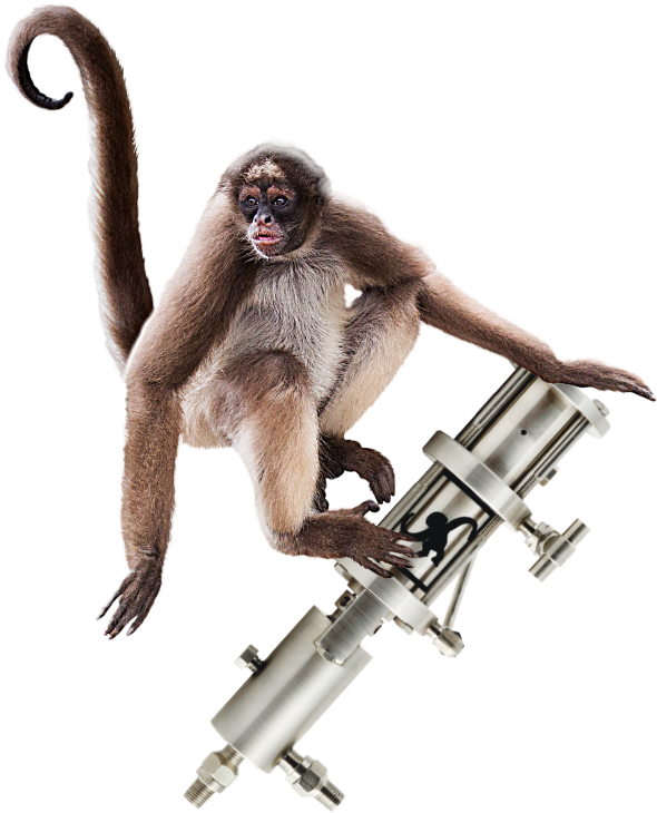 Spider Monkey With Telescope PNG