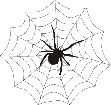 Spider Silhouetteon Web PNG
