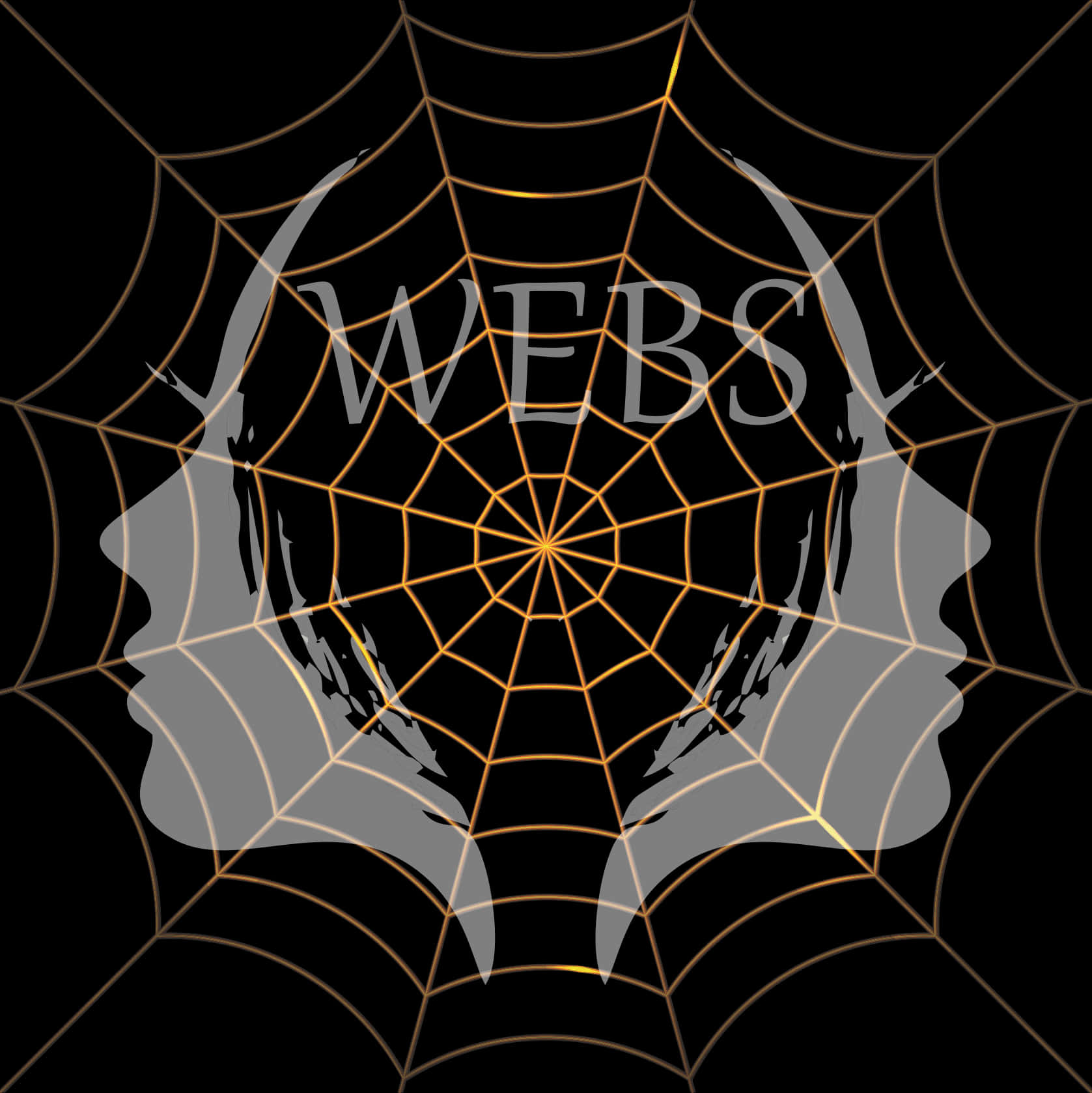 Spider Web Artistic Design PNG