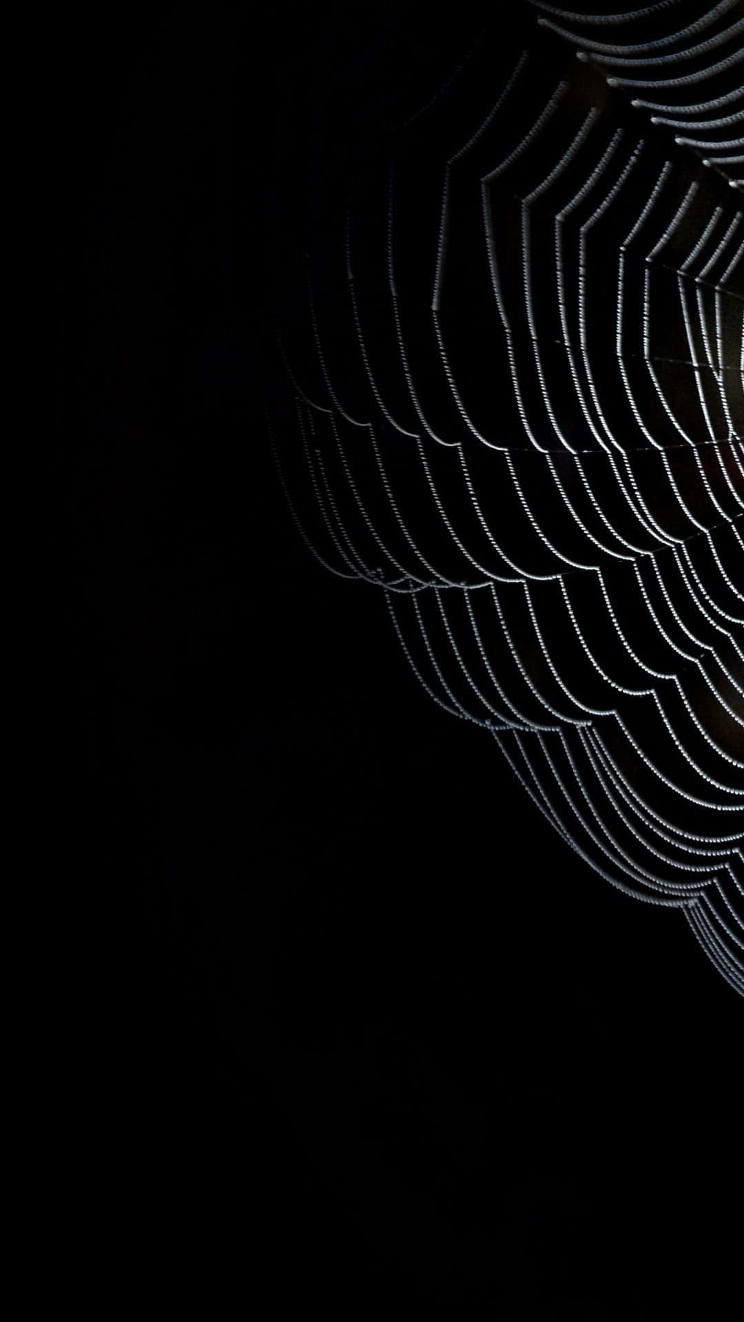 Spider Web Background Black Home Screen Background