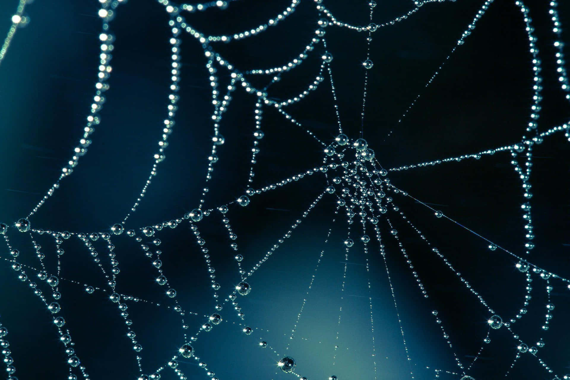 Spider Web Background Dark Blue Aesthetic Background