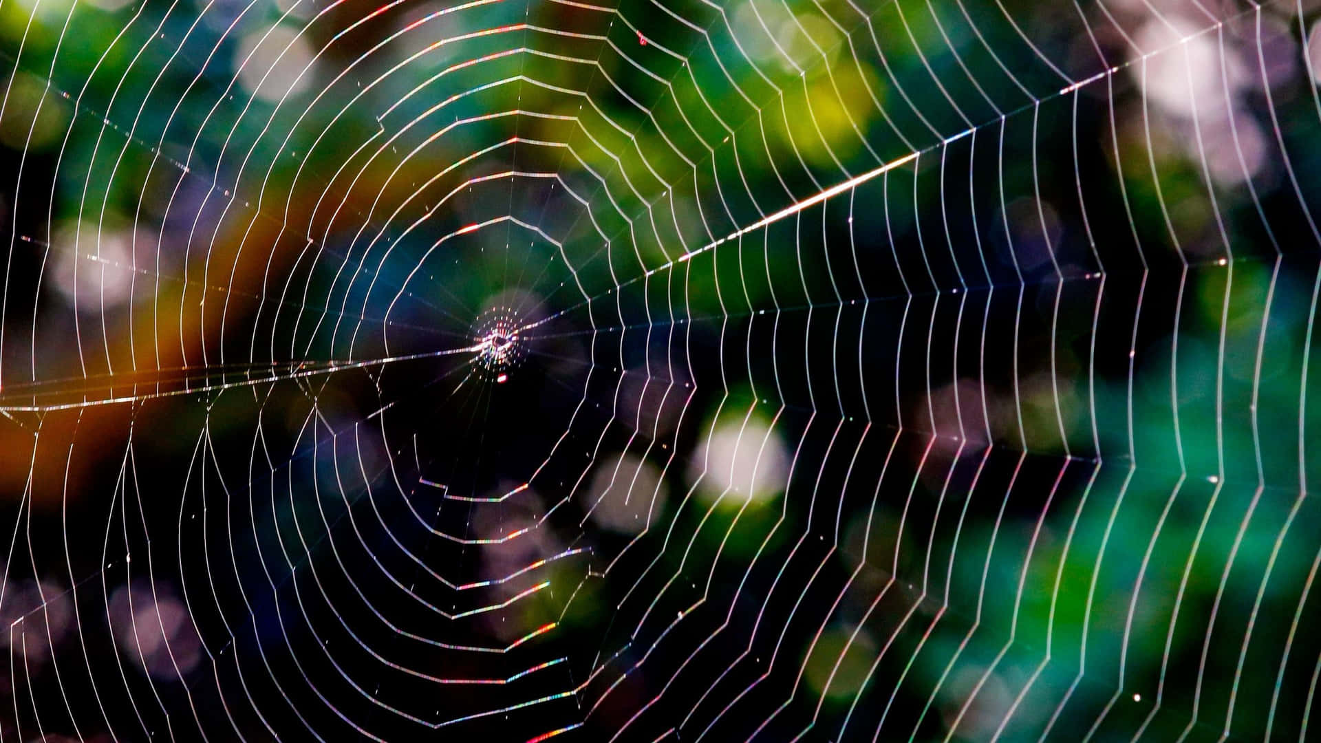 Vibrant Rainbow Spider Web Background