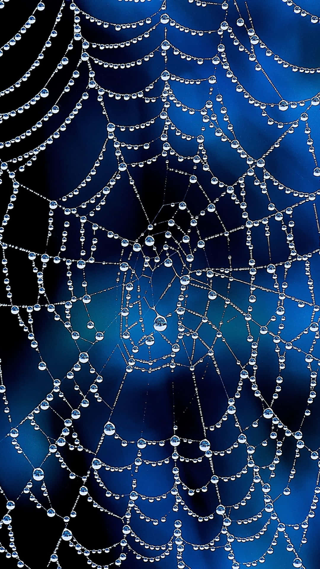 Spider Web Background Water Drops Blue Aesthetic Background
