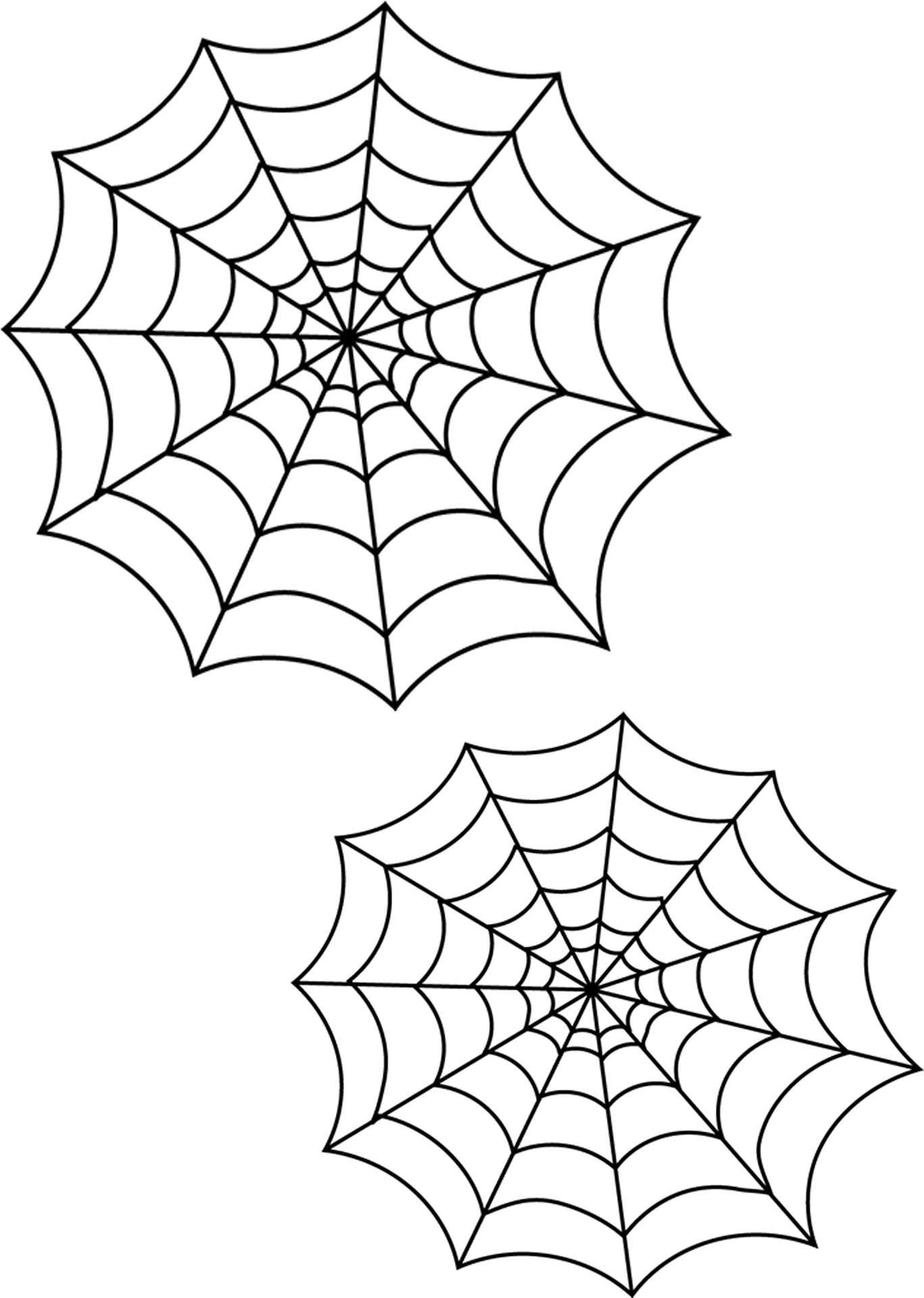Spider Web Duo Graphic PNG