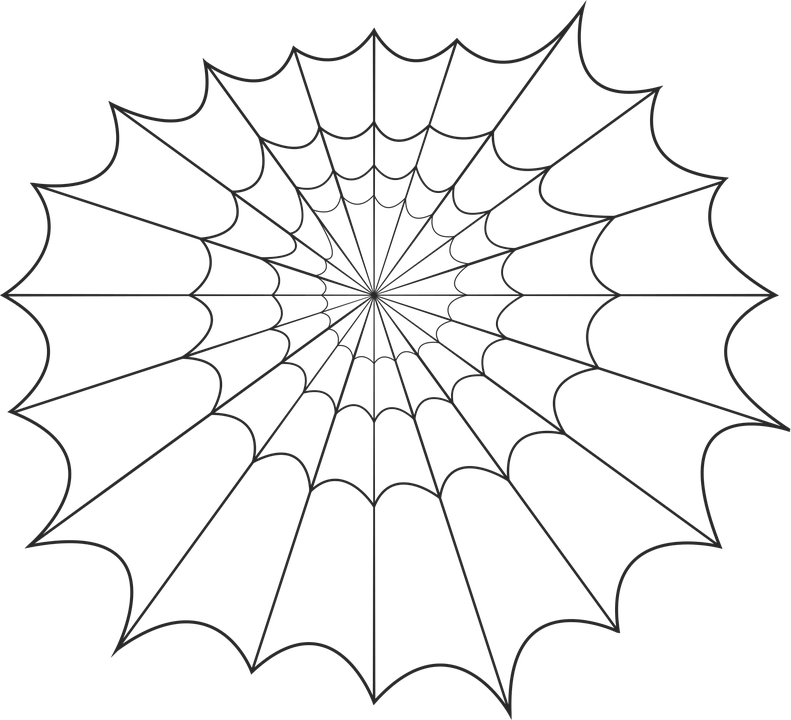 Spider Web Graphic Design PNG