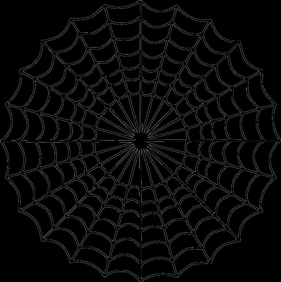 Spider Web Graphic Design PNG