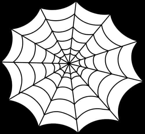 Spider Web Graphic Design PNG