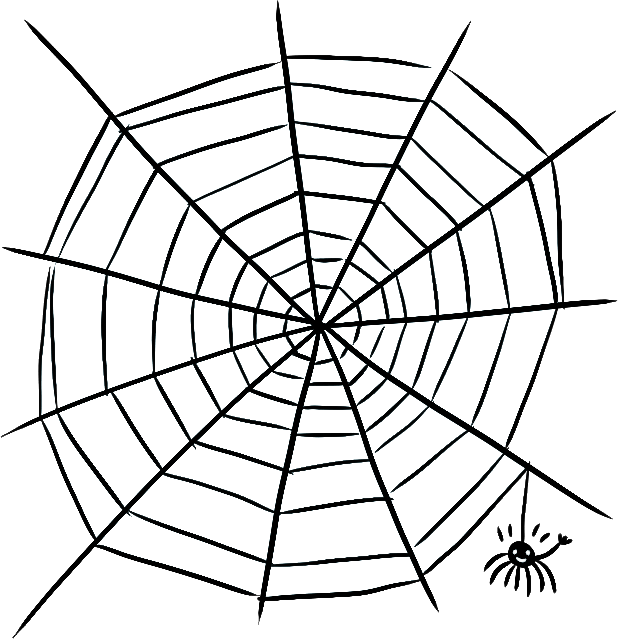 Spider Web Illustration PNG