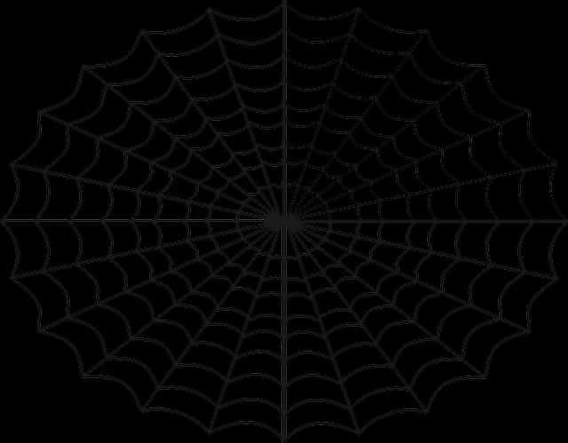 Spider Web Pattern Black Background PNG — A delicate black spiderweb radiates from a central point against a solid black background.