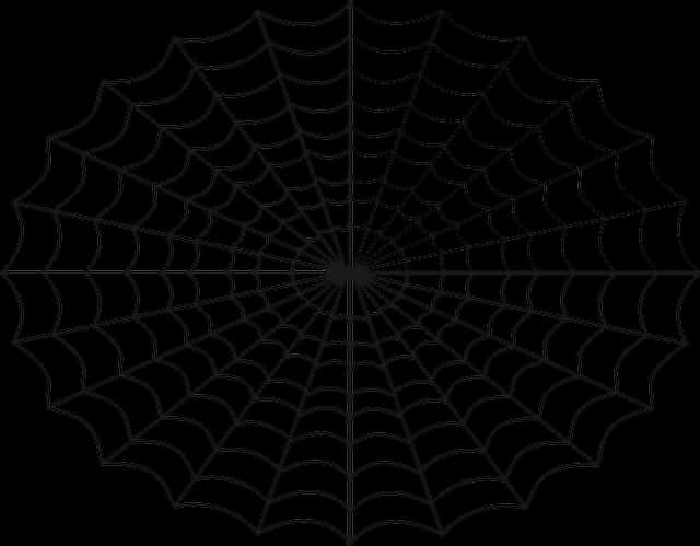 Spider Web Pattern Black Background PNG