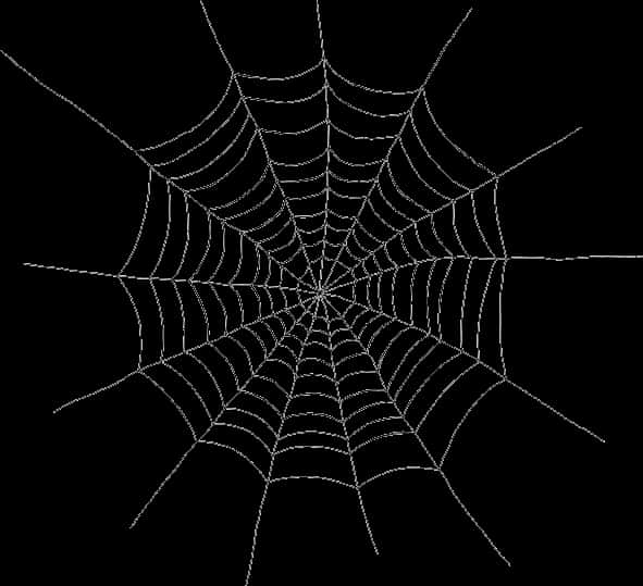 Spider Web Silhouette PNG