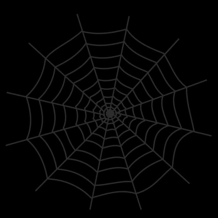 Spider Web Silhouetteon Black Background PNG