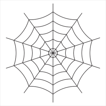 Spider Web Silhouetteon Black Background PNG