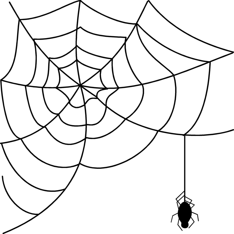 Spider Webwith Spider Drawing PNG